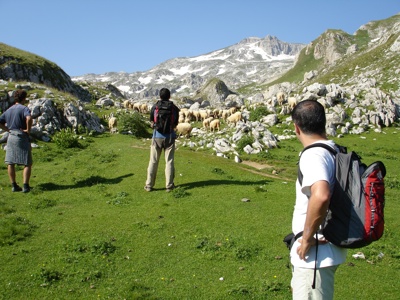 Wandelaars kijken uit over een kudde schapen in een berglandschap tijdens de Route Balkan.