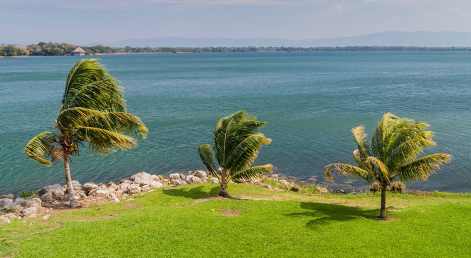 Rio Dulce, Guatemala Palmbomen aan een groene oever met uitzicht over een blauw meer en bergen in de verte.