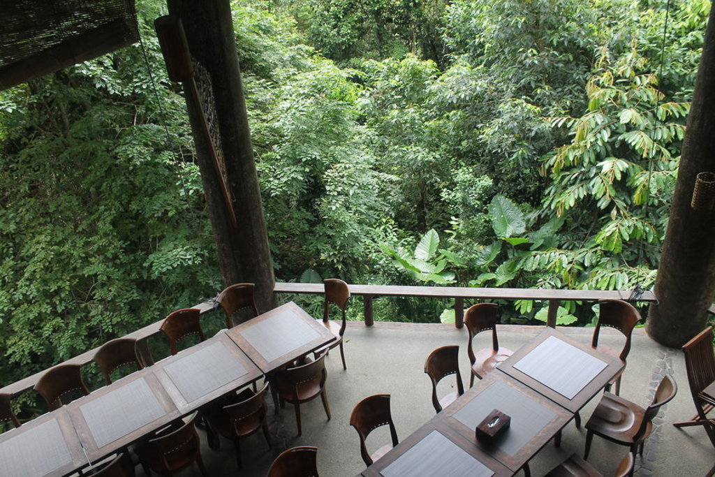 Openluchtterras met tafels en stoelen, uitkijkend over weelderig regenwoud in Kalimantan, Indonesië.