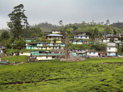 Theeplantages met dorp tegen groene heuvels in Zuid-India.