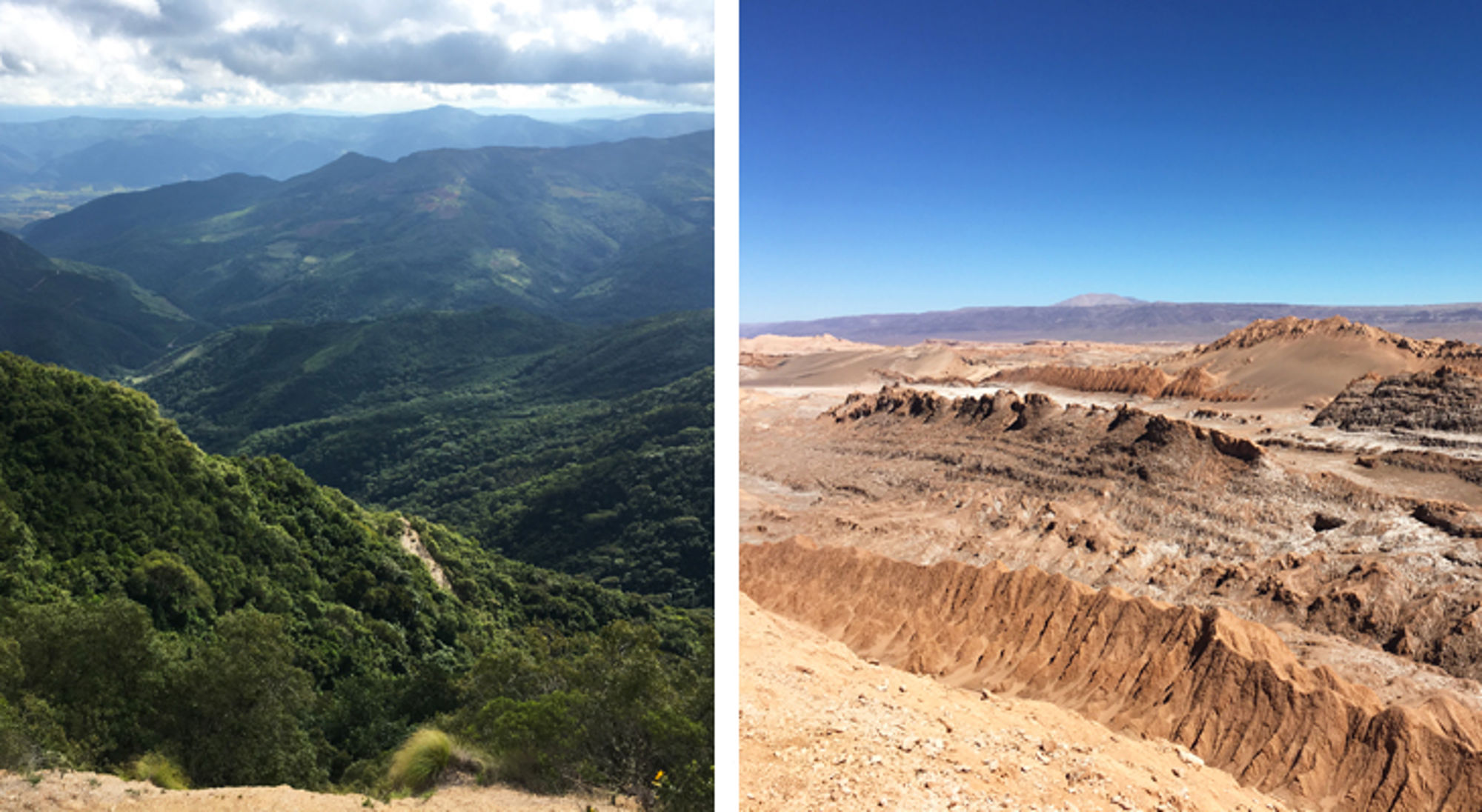 ruige landschappen in Bolivia Vergelijking van groen berglandschap met een droog woestijnlandschap onder een heldere blauwe lucht.