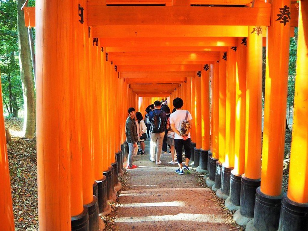 Groep reizigers loopt door de rode torii-poorten bij Fushimi Inari-taisha, Japan.