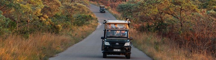 Giraffe tijdens een gamedrive in het Krugerpark, Zuid-Afrika.