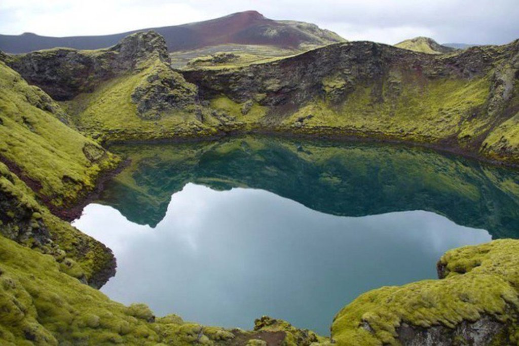 Besneeuwde bergen en fjordlandschap in IJsland tijdens een familiereis.
