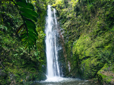 Waterval in het groene nevelwoud van Ecuador, met een beek en rotsen op de voorgrond.