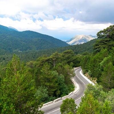 Bochtige bergweg door groen dennenbos met uitzicht op de kust, tijdens een wandelvakantie in Albanië.