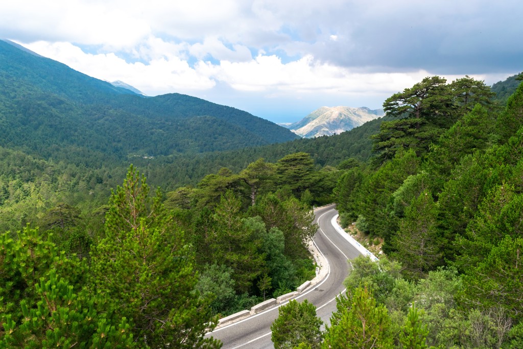 Bochtige bergweg door groen dennenbos met uitzicht op de kust, tijdens een wandelvakantie in Albanië.