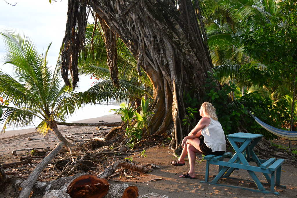 Reiziger zit op bankje onder grote boom aan het strand in Costa Rica, omringd door palmen.