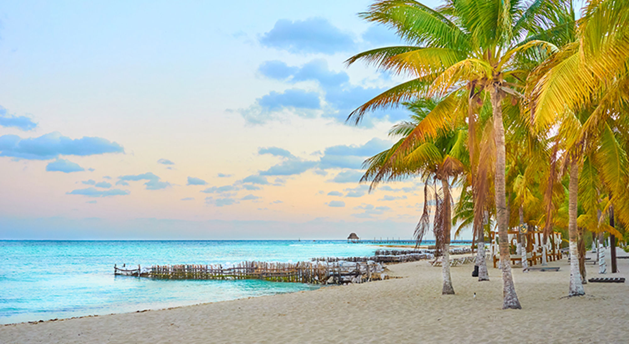 Isla Mujeres Palmbomen langs een wit zandstrand aan een turquoise zee bij zonsondergang.