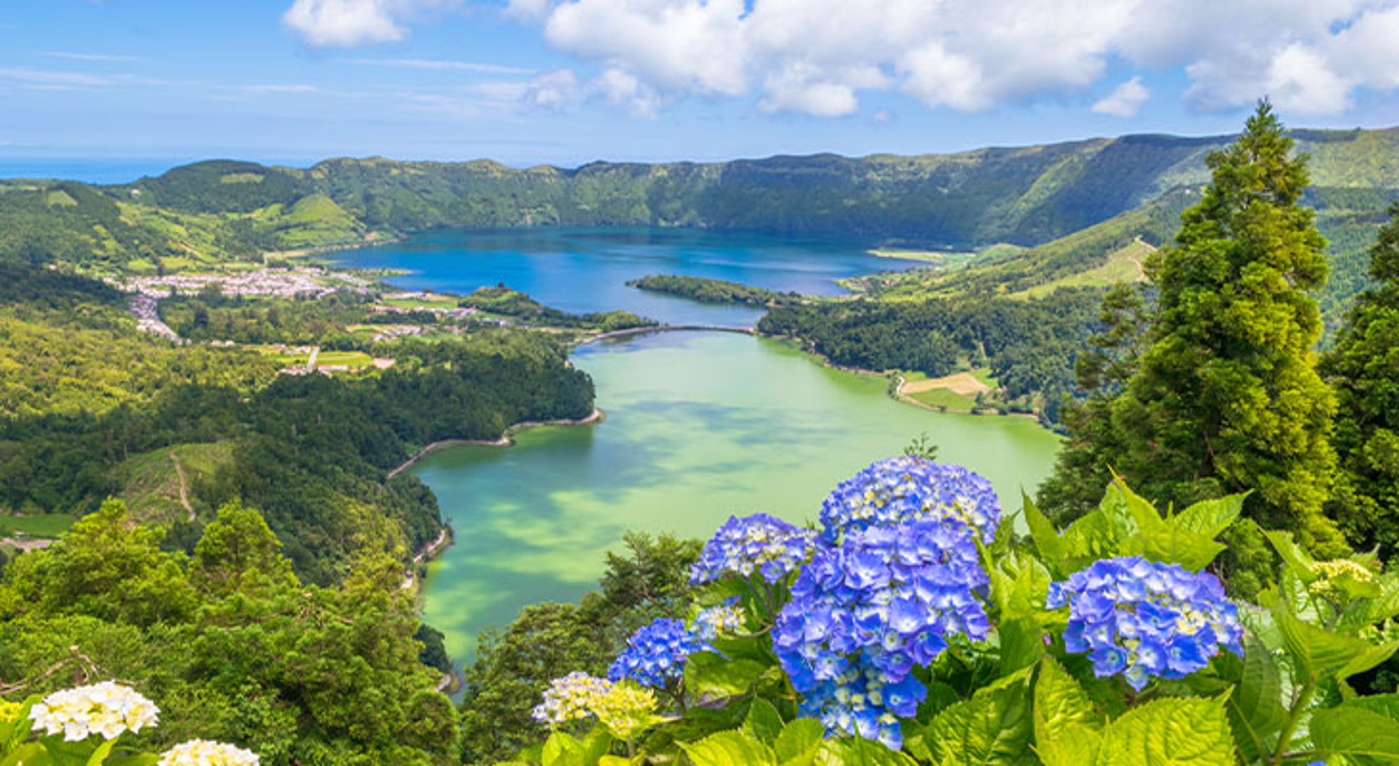 Azoren Panoramisch uitzicht op een kratermeer met groene heuvels en blauwe hortensia’s op de voorgrond.