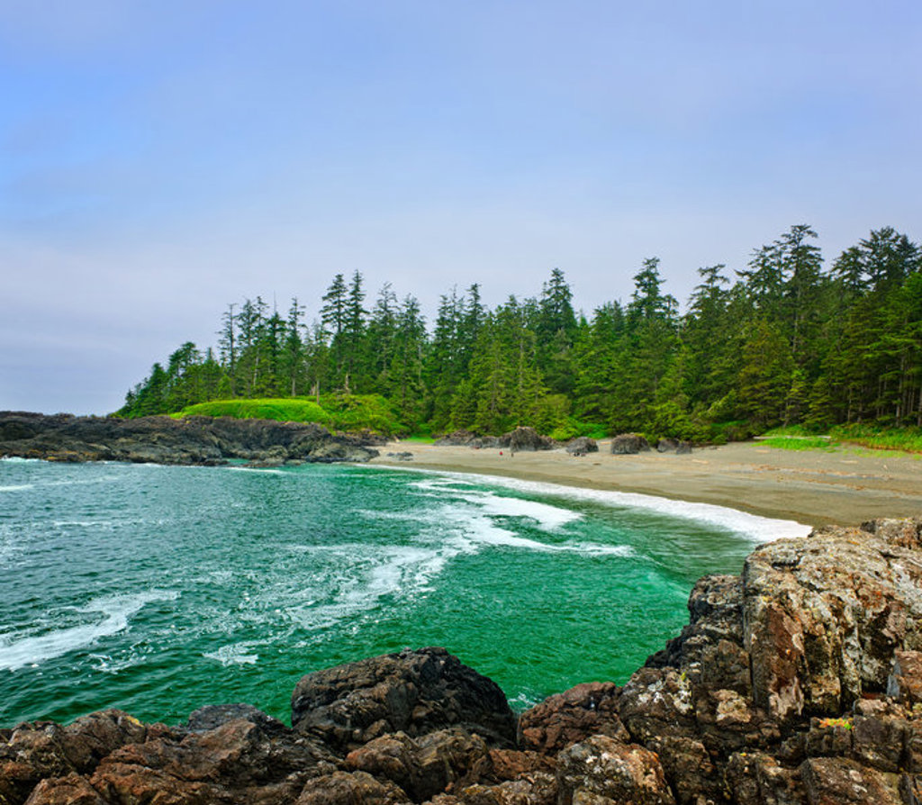 Rotsachtige kust met groenblauw zeewater, zandstrand en dennenbos in West-Canada.