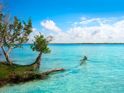 Turquoise water van Laguna Bacalar met bomen aan de oever onder een blauwe lucht, Route Mexico.
