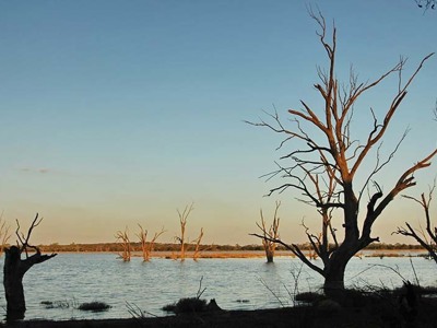 Dode bomen in een meer bij zonsondergang tijdens de Route Australië kampeer- & hotelreis van 21 dagen.