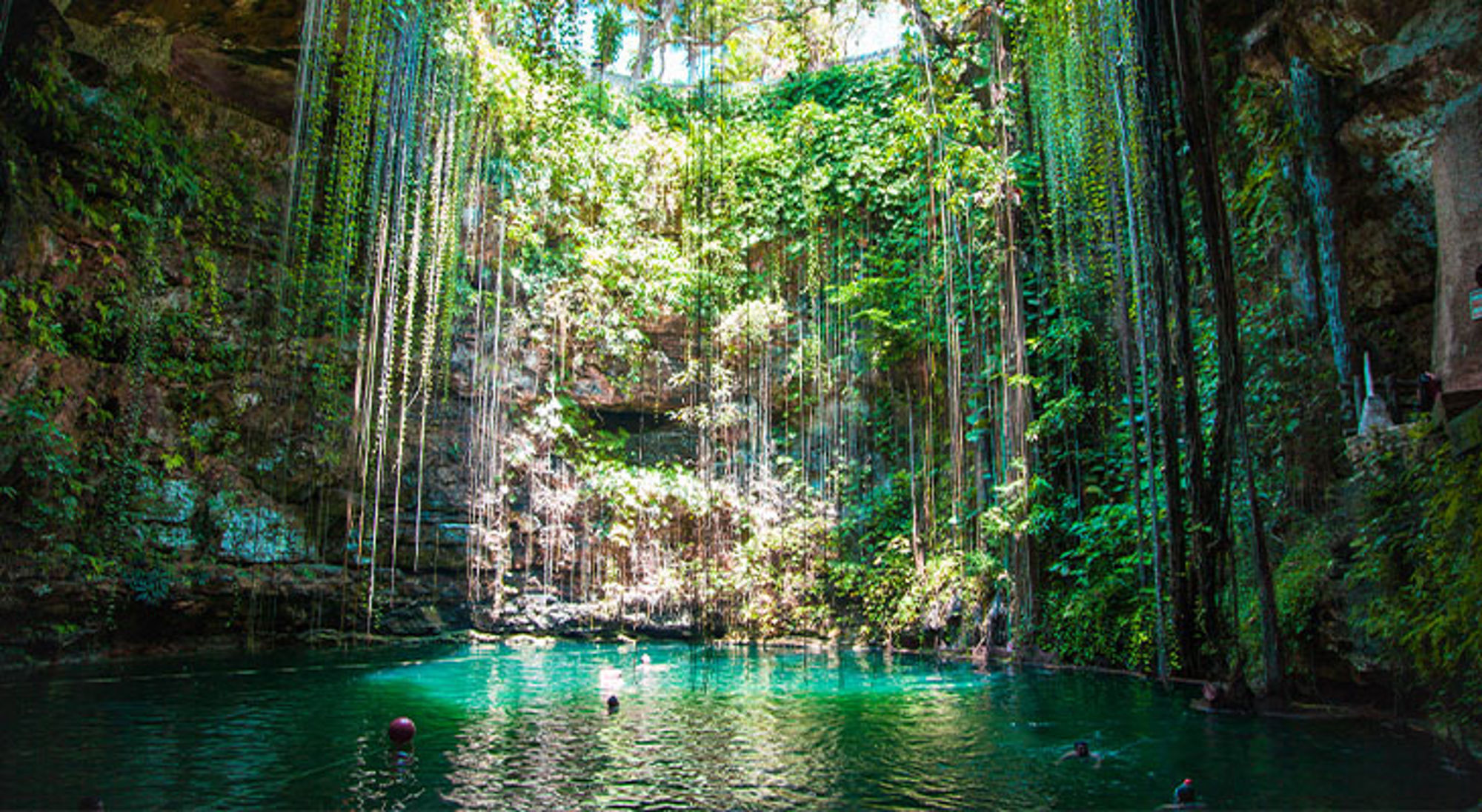 Cenote Ik Kil Groene cenote met helderblauw water en hangende lianen, waar bezoekers zwemmen in een natuurlijke grot.