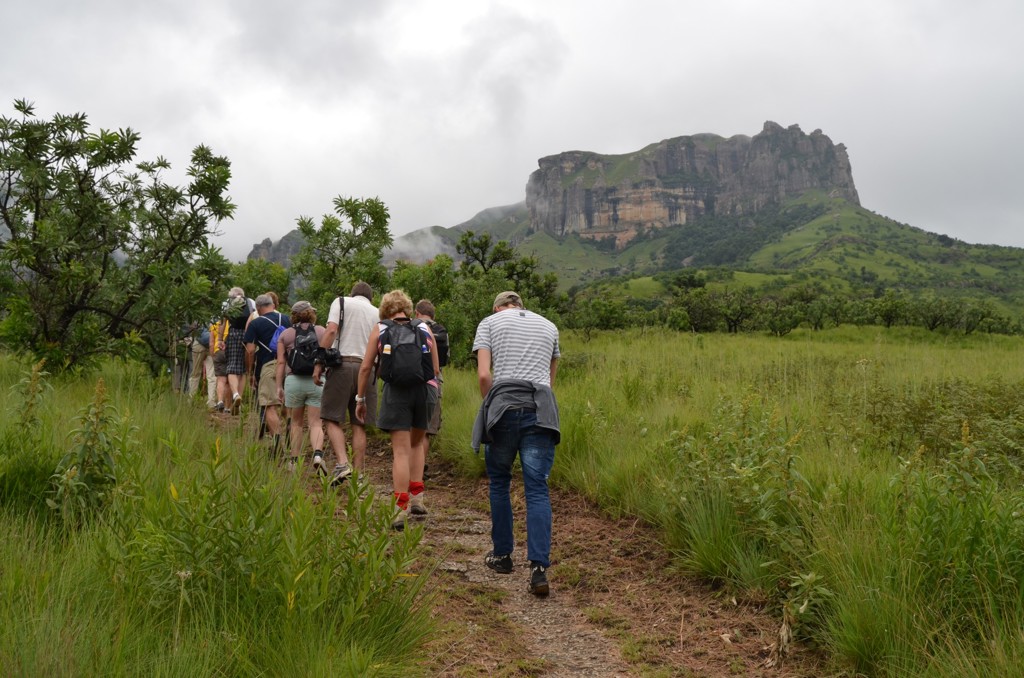 Wandelgroep tijdens groepsrondreis Zuid-Afrika, eSwatini en Lesotho, met berglandschap op de achtergrond.