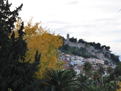 View