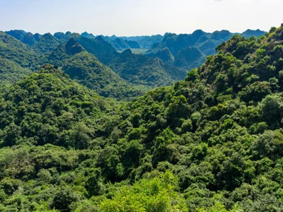 Groene karstbergen en dicht tropisch woud langs de Route Vietnam.