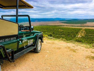 Safarijeep met uitzicht over de Addo Elephant Park-vallei langs de Route Zuid-Afrika.