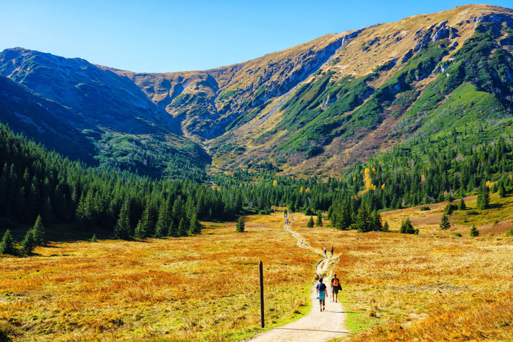 Wandelaars op bergpad door groene vallei in Centraal Europa tijdens groepsrondreis.