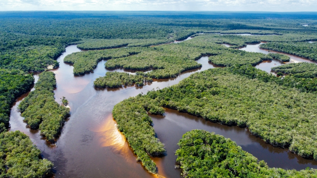 een kronkelende rivier door het regenwoud in Ecuador tijdens de familiereis Ecuador en Galapagos.