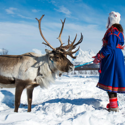 Rendier in de sneeuw naast persoon in traditionele kleding, tijdens groepsrondreis Zweeds en Noors Lapland.