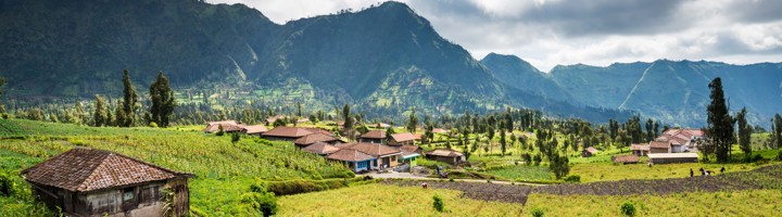 Groene rijstvelden en dorp in de bergen op Java tijdens de Route Java en Bali.