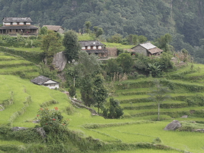 Rijstterrassen en traditionele huizen in de Nepalese heuvels langs de Route Nepal Annapurna.