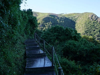 Houten wandelpad met traptreden langs groene heuvels op de Tuinroute in Zuid-Afrika.