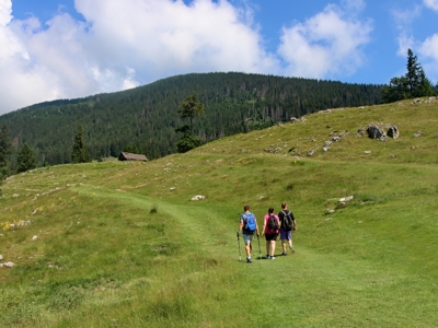 Wandelaars op een bergpad in de Roemeense Karpaten, met groene hellingen en dennenbos.