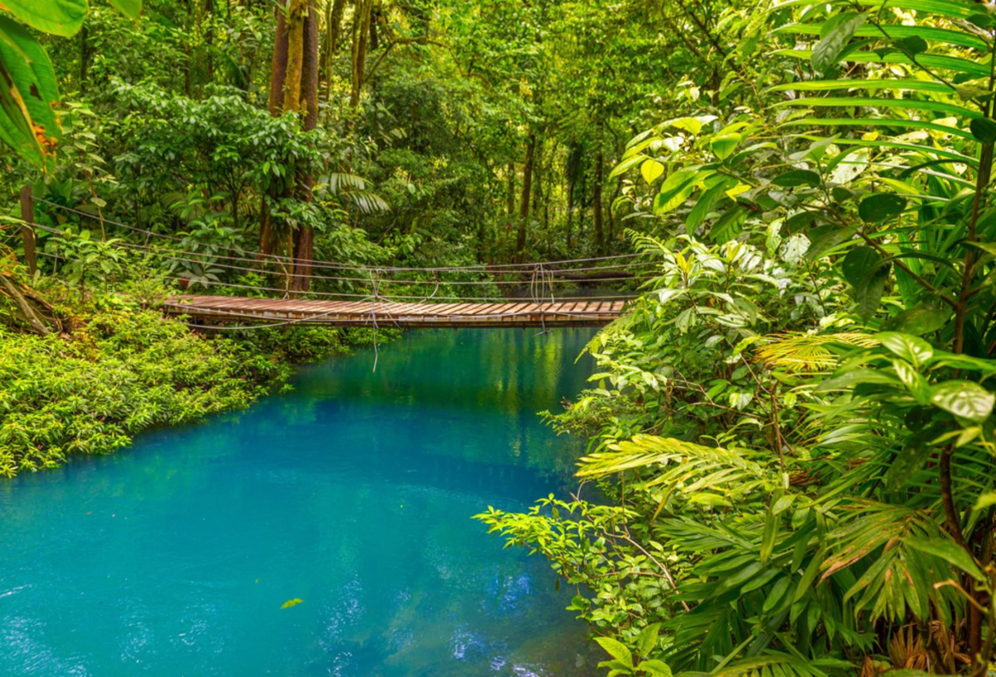 Hangbrug over een helderblauwe rivier in het regenwoud van Costa Rica.