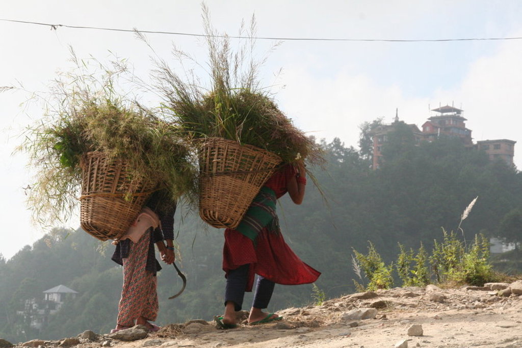 Vrouwen dragen manden met gras op een heuvelpad in Nepal tijdens een familiereis.