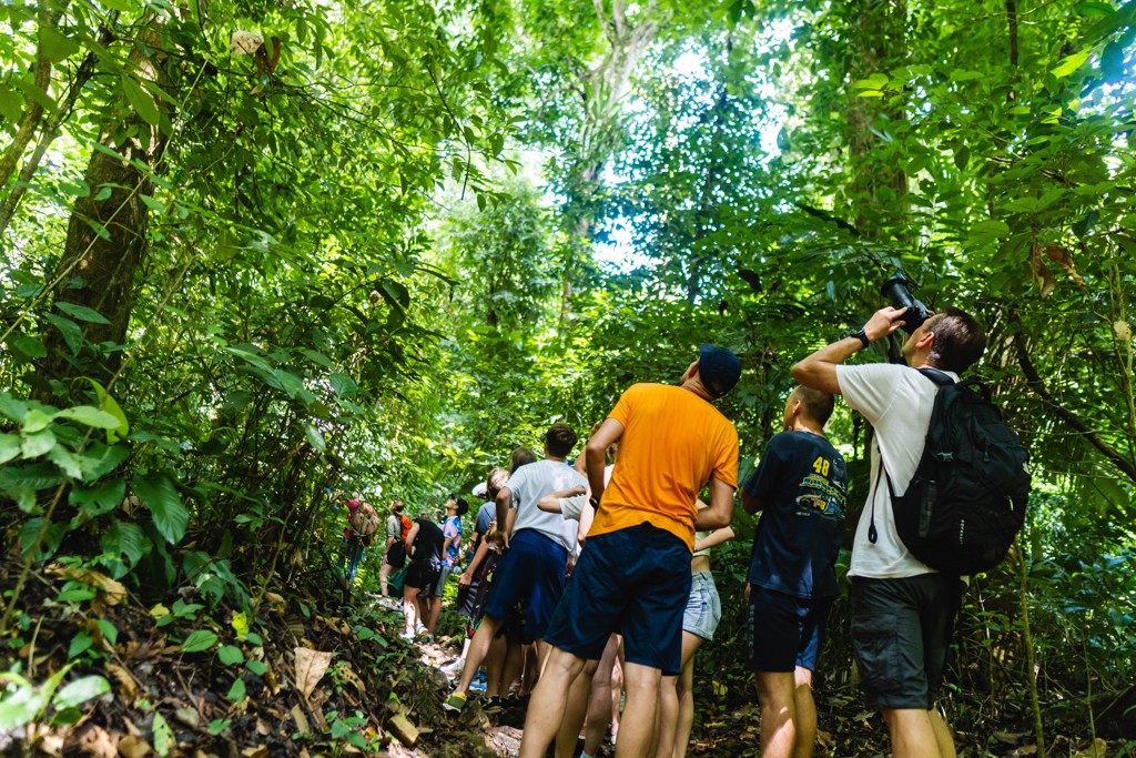 Gezinnen wandelen door de groene jungle tijdens familiereis Mexico hoogtepunten.
