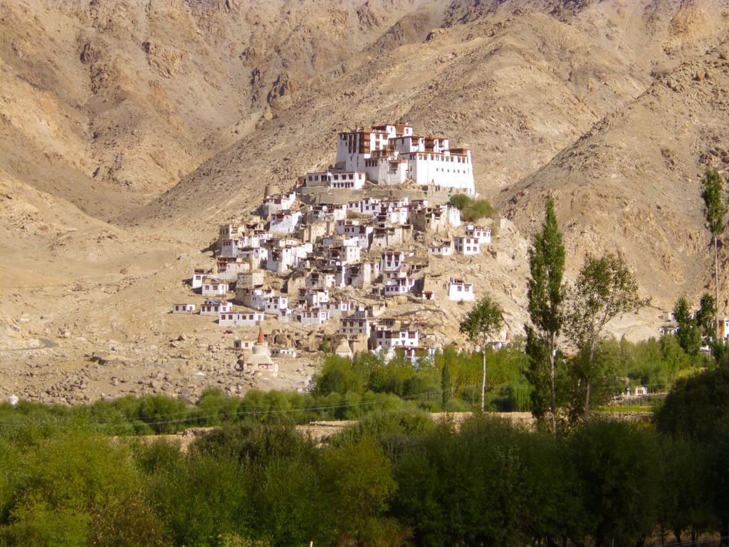 Boeddhistisch klooster en dorp op een rotshelling in Ladakh, India, met groene vallei op de voorgrond.