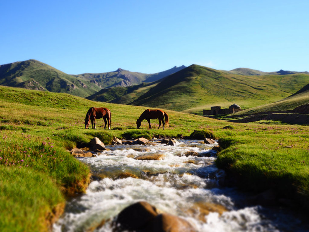 Paarden grazen langs een bergbeek in het groene landschap van Kirgistan tijdens een groepsrondreis.
