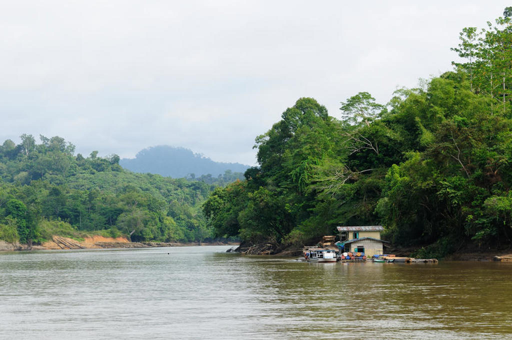 Rivierlandschap in Kalimantan met jungle, een huis aan de oever en boten bij de steiger.