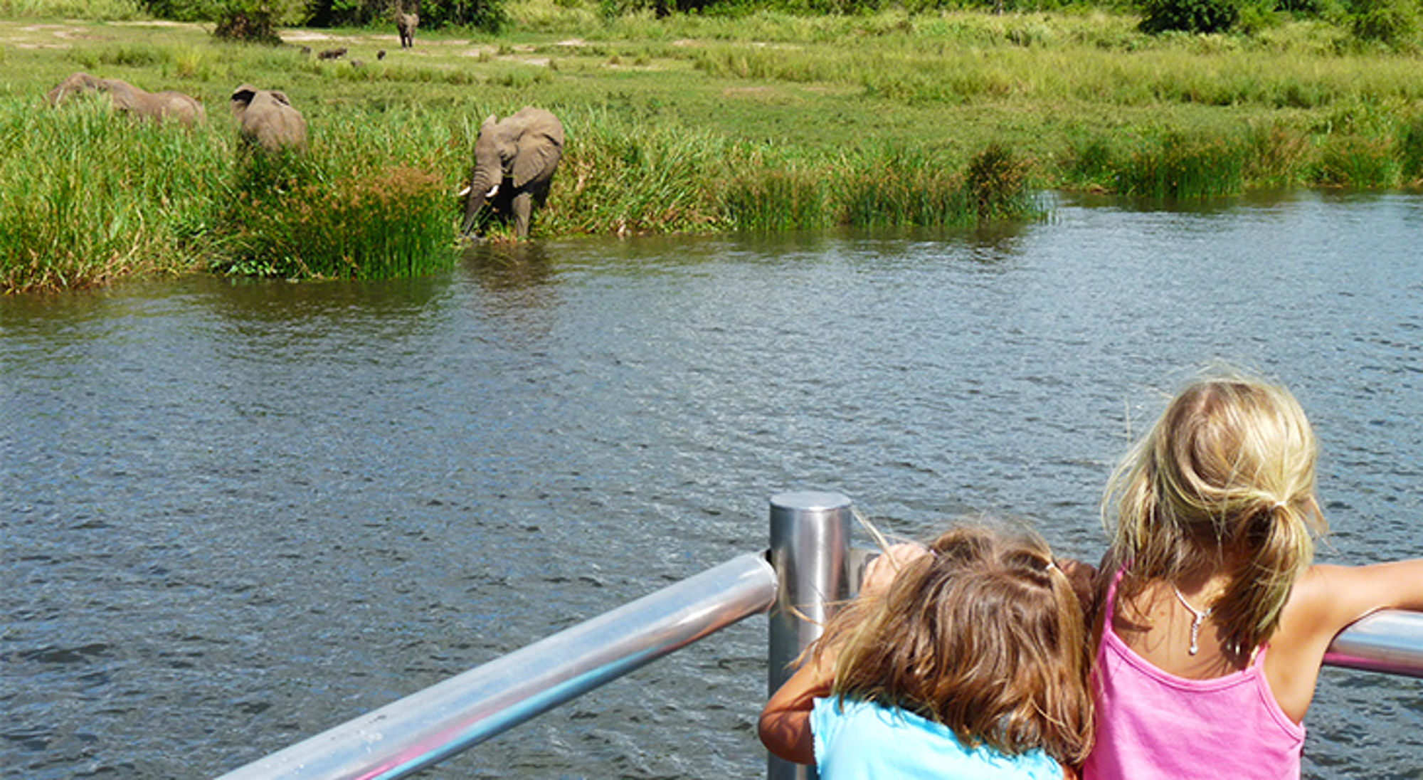 Kinderen kijken vanaf een boot naar olifanten aan de oever van een rivier.