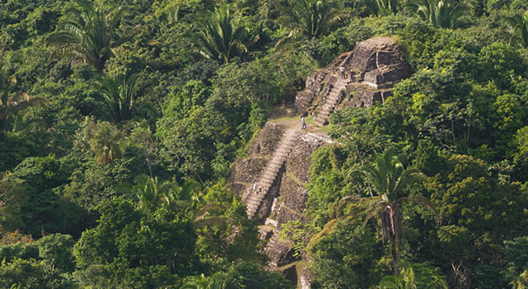 Maya Ruïne Belize Steile stenen trap naar een archeologische ruïne in dicht regenwoud.
