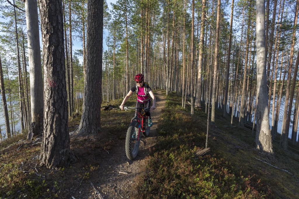 Mountainbiker op bospad tussen dennenbomen in zomers Lapland, Finland.