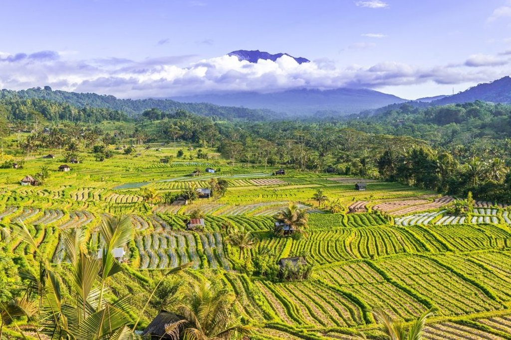 Zonsopkomst boven de Borobudur-tempel op Java tijdens een 22-35ers groepsreis Indonesië: Java en Bali.