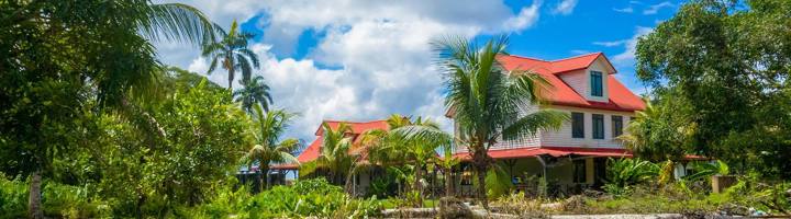 Witte houten lodge met rood dak tussen palmen in Suriname, ideaal voor familiereizen.