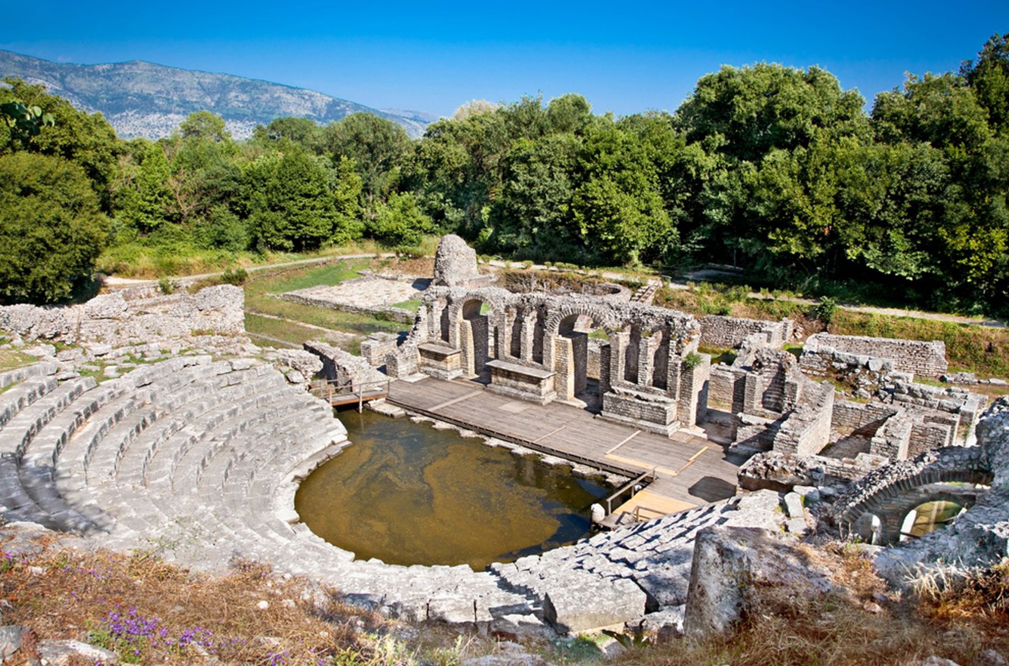 Romeinse ruïnes van het amfitheater van Butrint in Albanië, omgeven door groen.