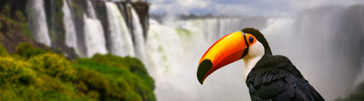 Iguazu watervallen