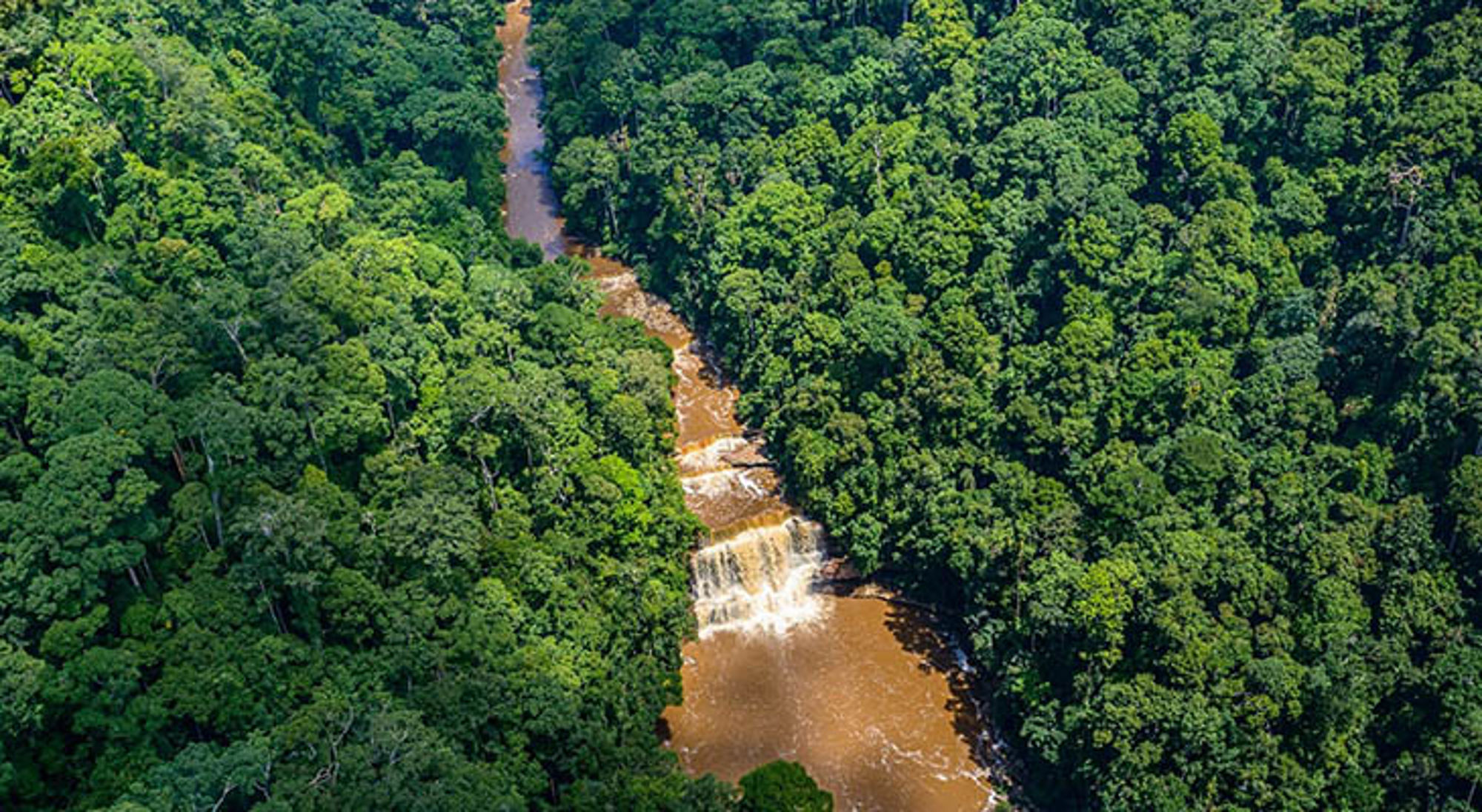 Maliau Basin een rivier met kleine watervallen door dicht tropisch regenwoud.