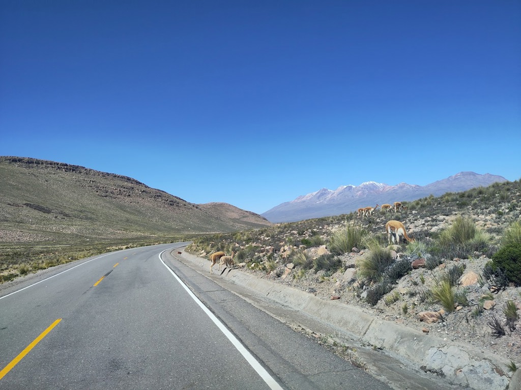 Onderweg Naar Colca Canyon