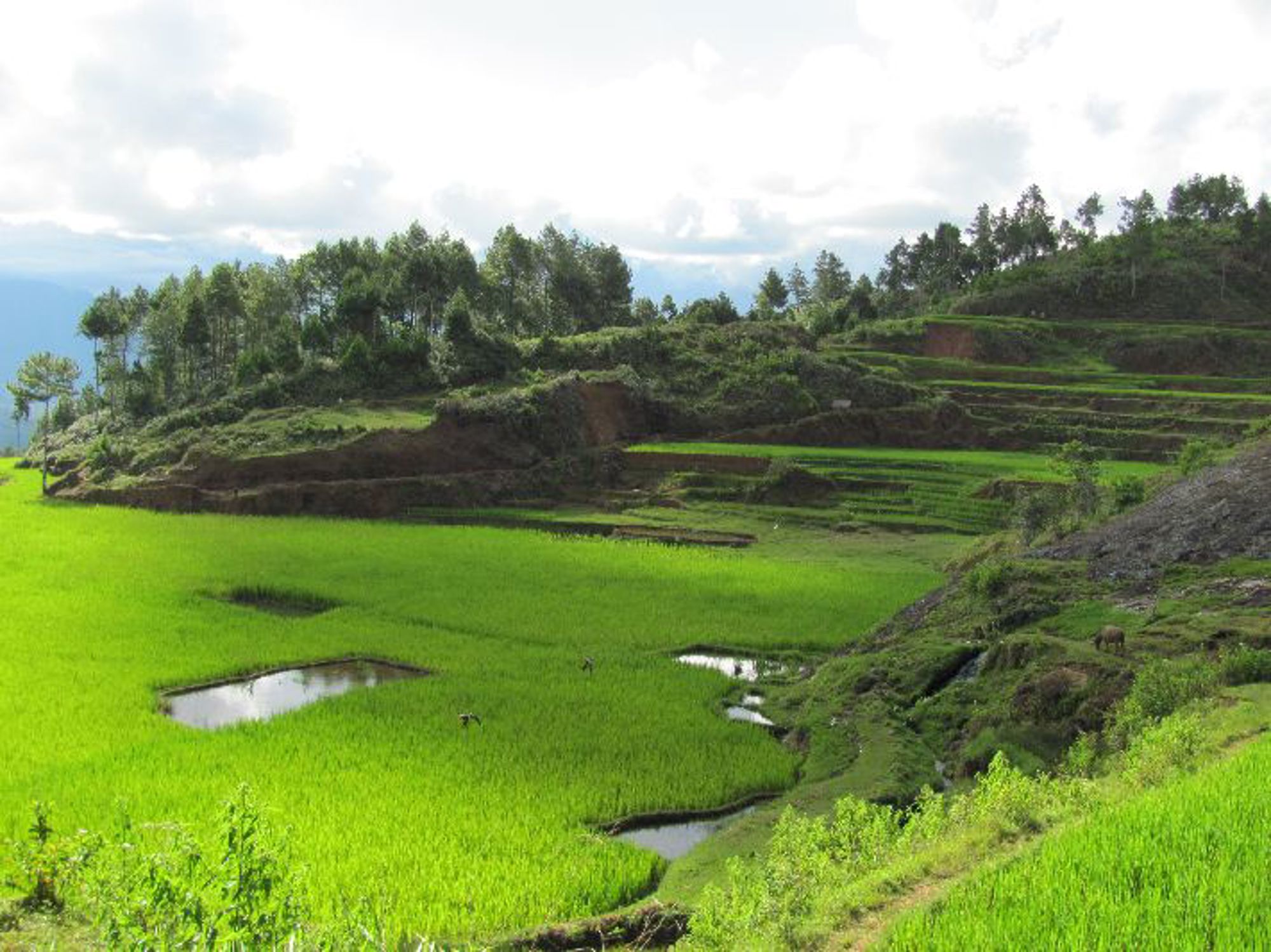 Groepsrondreis Sulawesi