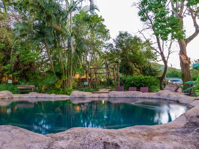 Gecko Lodge
