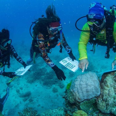 Duikers bekijken en onderzoeken koraal tijdens een Great Barrier Reef tour.