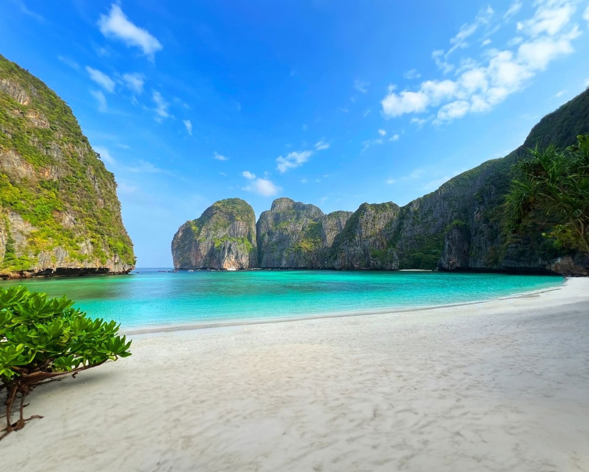 Wit zandstrand met turquoise zee en kalkstenen kliffen bij Maya Bay op Koh Phi Phi, Thailand.