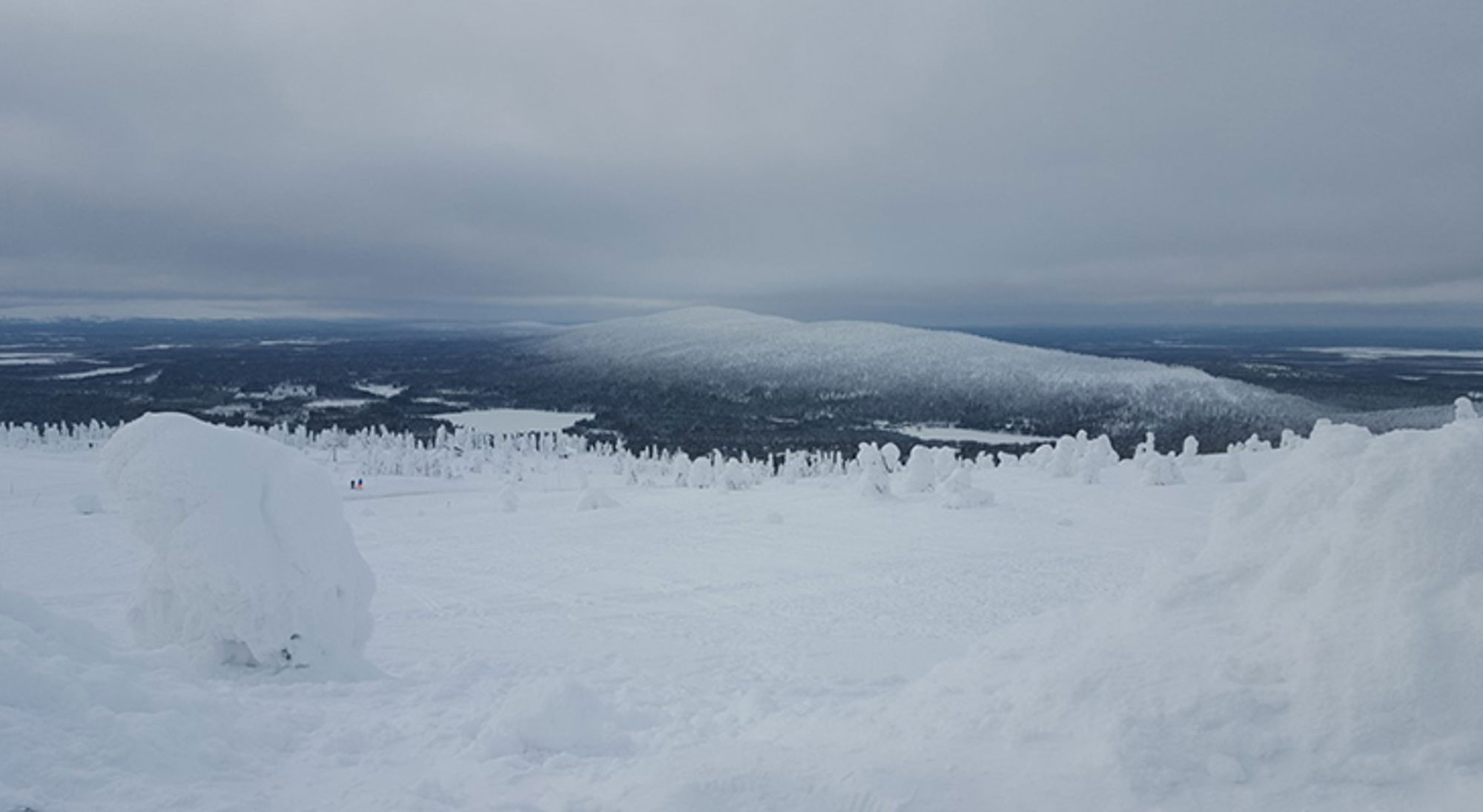 Sneeuwlandschap met besneeuwde bomen en uitzicht op een heuvelrug onder een grijze winterlucht.