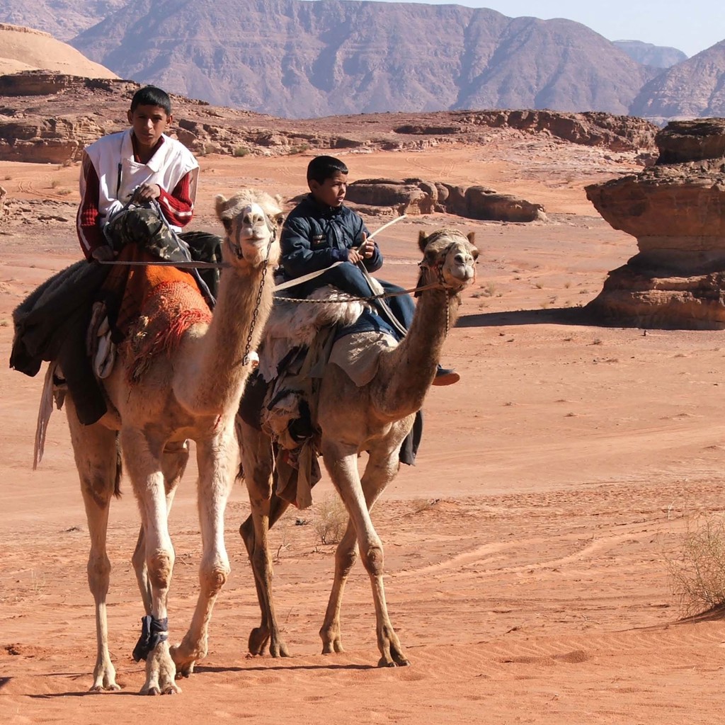 Kamelen met berijders in de Wadi Rum-woestijn in Jordanië, met rotsformaties op de achtergrond.